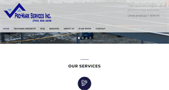 Desktop Screenshot of pro-markservicesinc.com